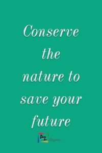 conserve_water_slogan